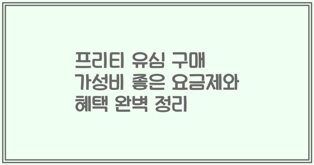 프리티 유심 구매 가성비 좋은 요금제와 혜택 완벽 정리