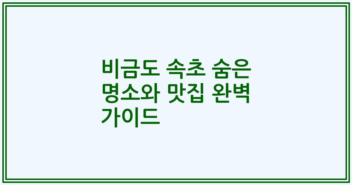비금도 속초 숨은 명소와 맛집 완벽 가이드